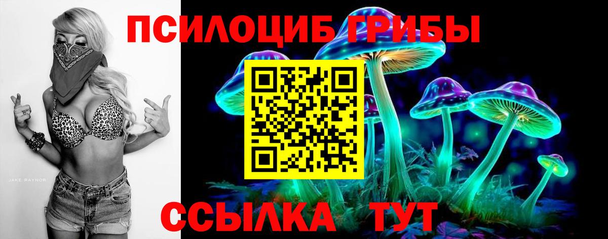 Зеленогорск  Codein  LSD-25  MDMA  Cocaine  Вход с VPN  А ПВП СК кристаллы  Меф МЯУ МЯУ кристаллы  Бошки Шишки 