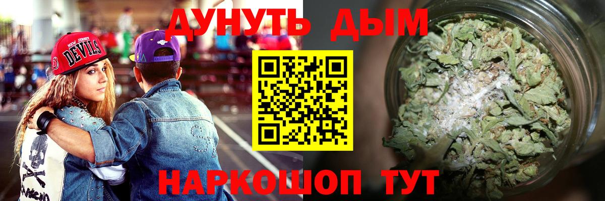 Зеленогорск  Каннабис семена  Канабис OG Kush  Вход с VPN 