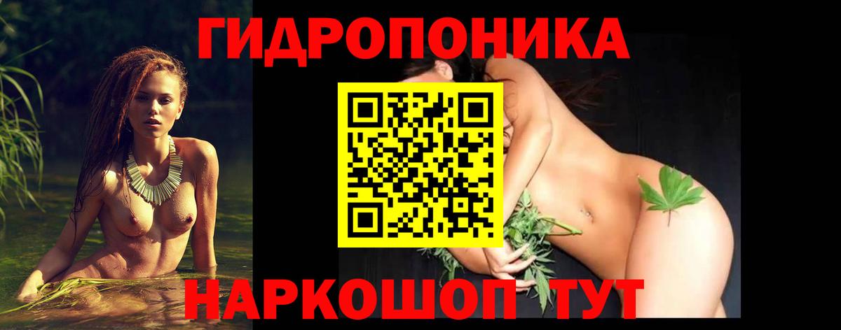 Шишки марихуана конопля  Канабис VHQ  Зеленогорск  Бошки Шишки Amnesia  Марихуана THC 21% 