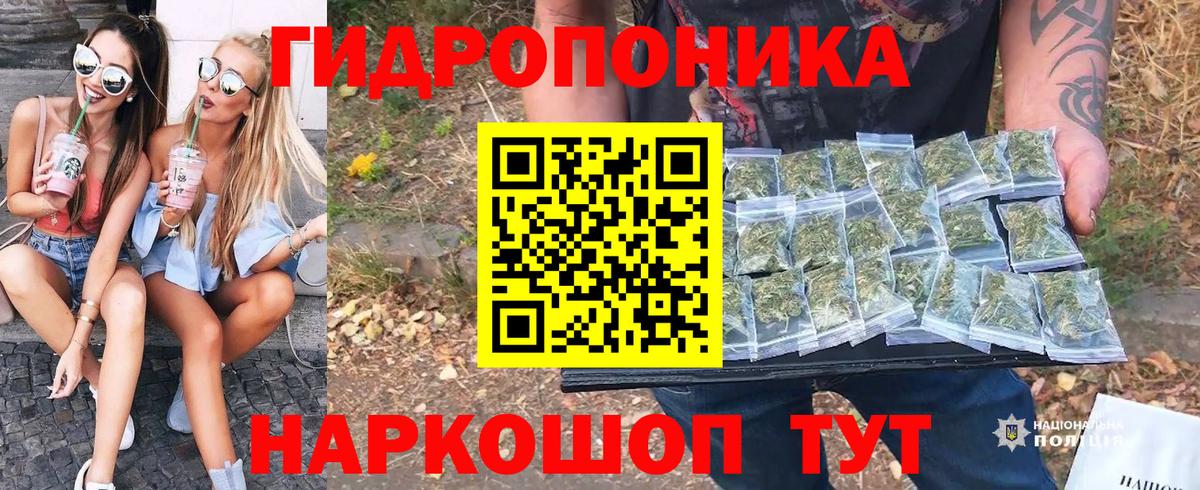 Бошки Шишки индика Зеленогорск